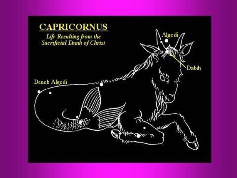 Capricornus-1